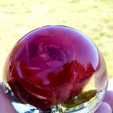 Sphere-Blessed & Pressed Floral Preservation