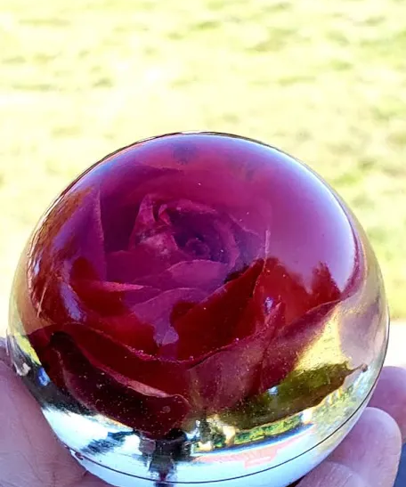 Sphere-Blessed & Pressed Floral Preservation