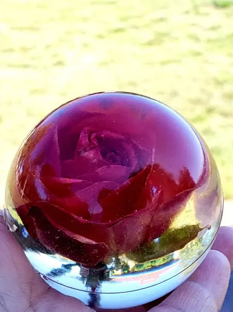 Sphere-Blessed & Pressed Floral Preservation