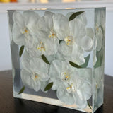 Resin Cube-Blessed And Pressed